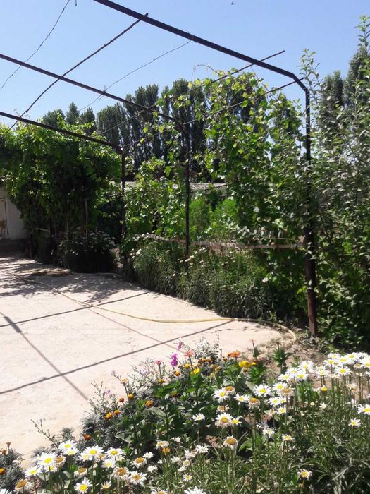 10сотих.4 хонали уй