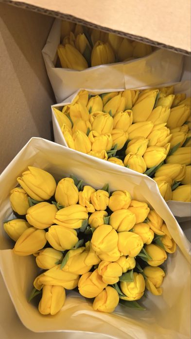 Тюльпаны к 8 марта