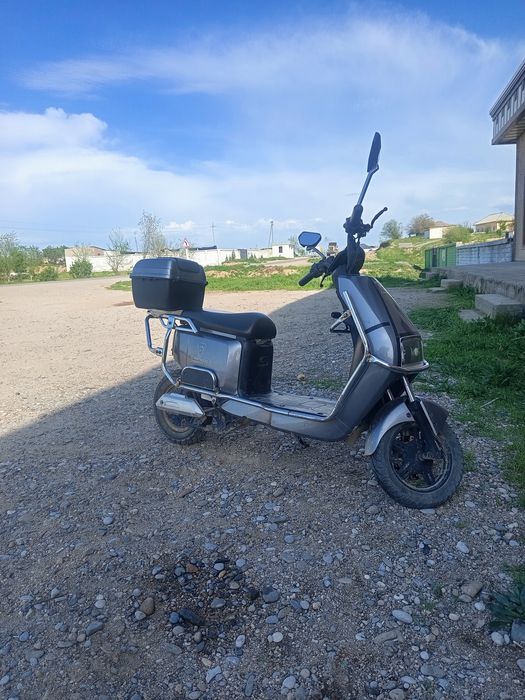 Cavalo skuter yaxshi