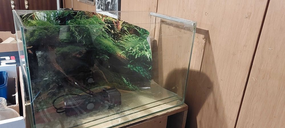 Аквариум 50 л с нови камъни, филтър SunSun, и анубиас
