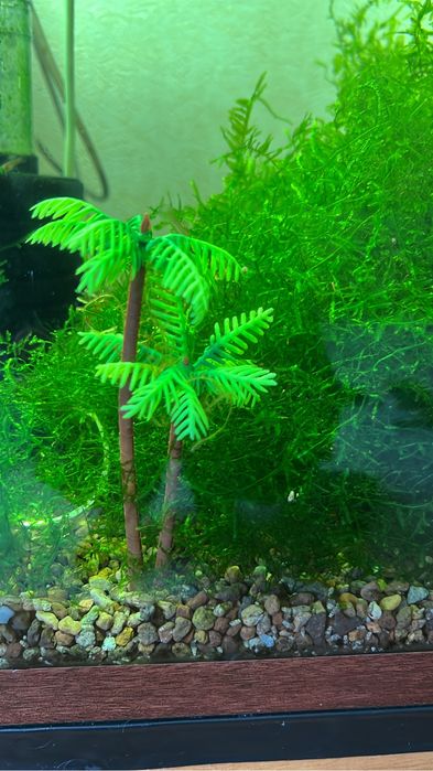 Аксессуары для аквариума