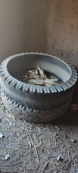 Mollar uchun novo sotiladi