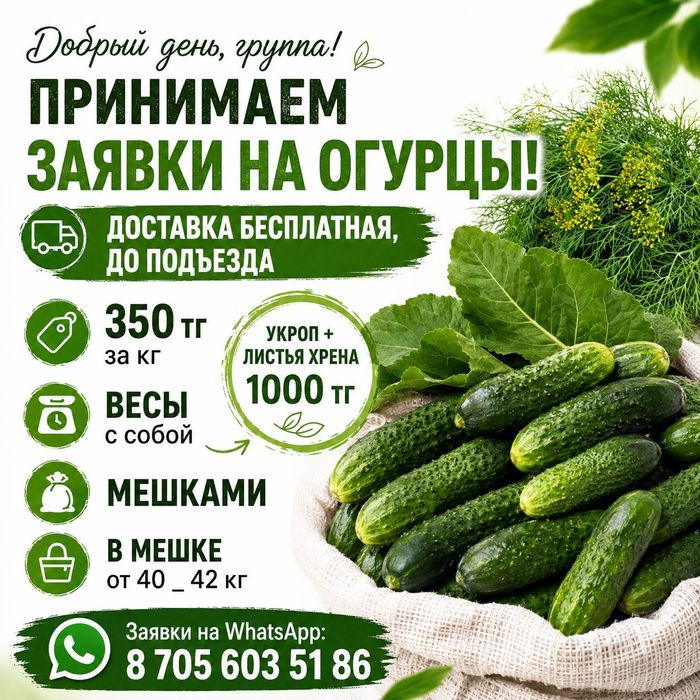 Огурцы для засолки