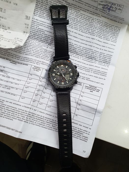 Ceas Citizen Elite Collection Promaster