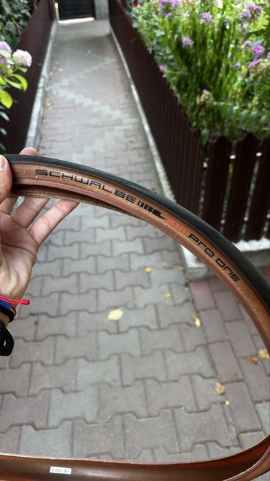 Schwalbe Pro One