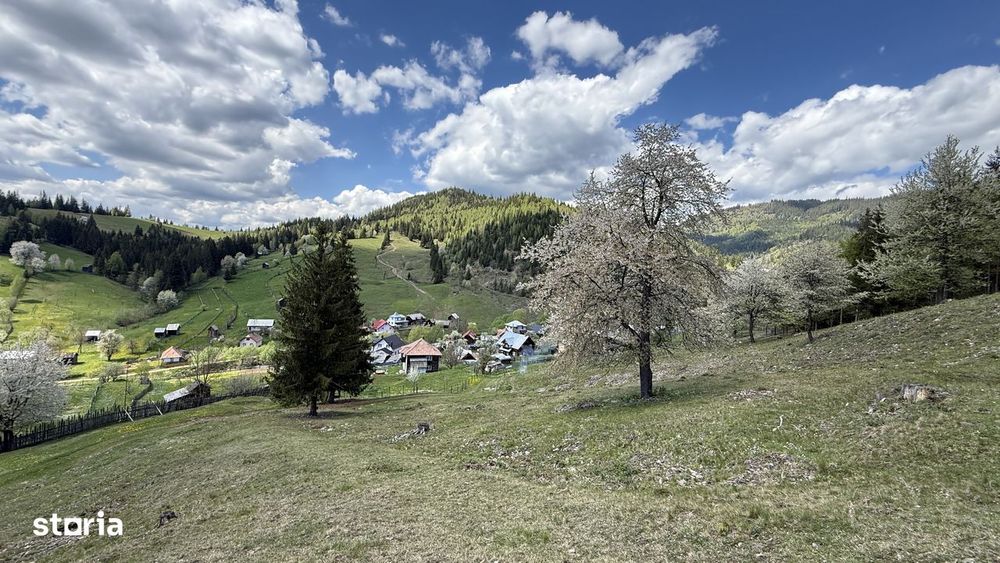 Teren 1.29 ha + 1 ha pădure, acces ușor