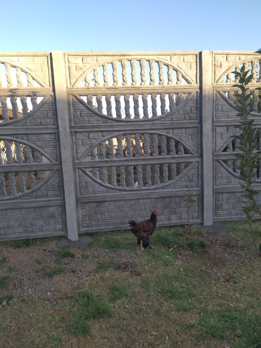 Евро забор Yevro zabo'r Biton zabor bito' dastafka bor ustanofka alohi