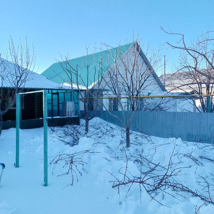 Обрезка плодовых деревьев