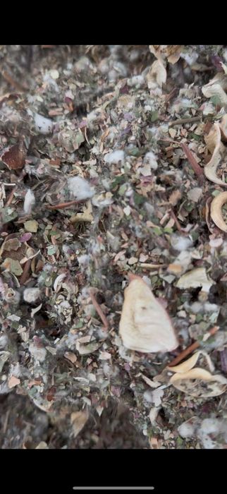 Мақта қауашағы сатылады