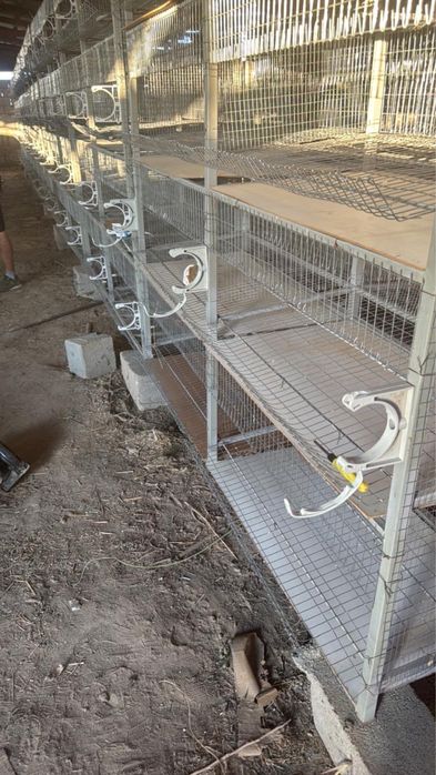 Клетки для кур несушек