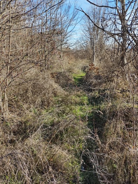 Земеделски имот Шереметя