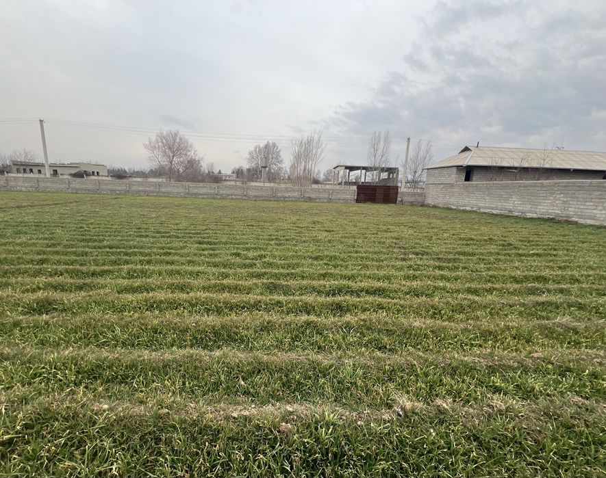 Shoshilinch Yer  uchastka sotiladi