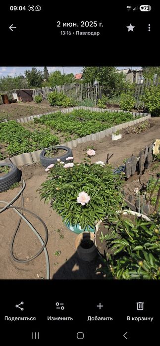 Продам Дачу цена 3мил сад Северный