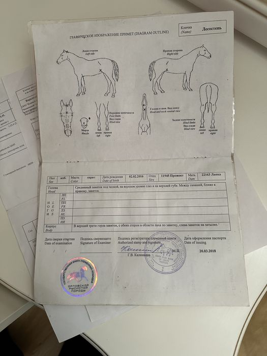 Продам Орловскую Кобылу