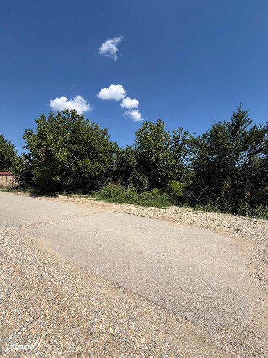 Teren Intravilan 1.000 mp | Tunari |  Ideal Investitie |