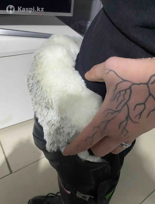 Наколенники для мото