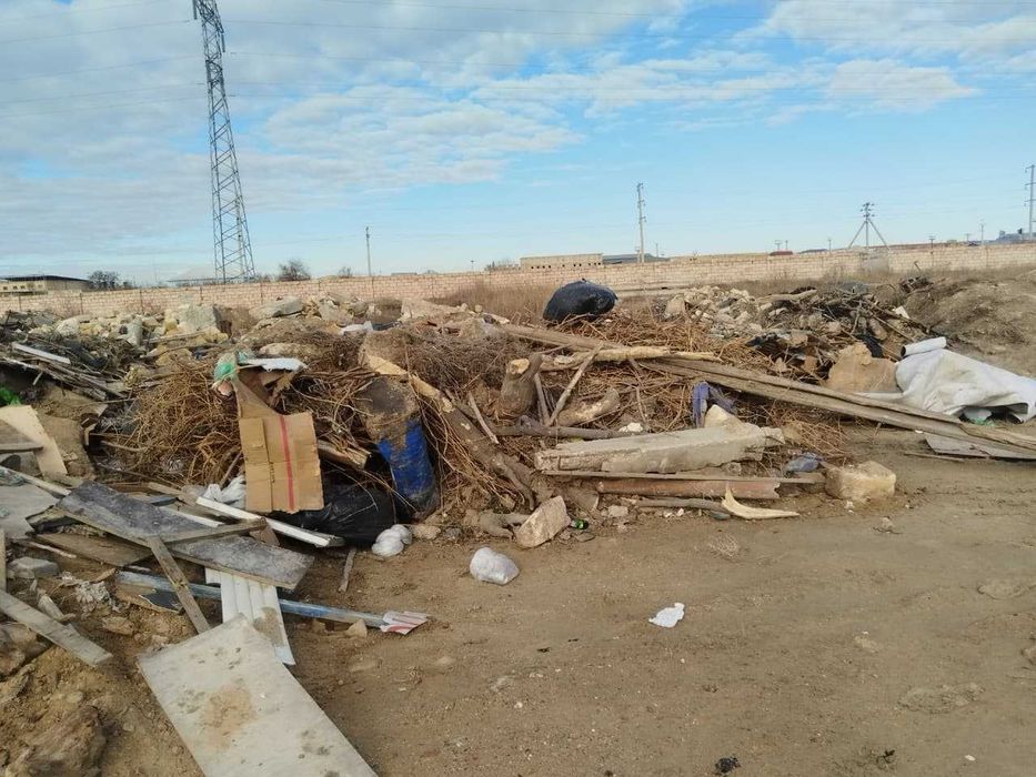 дрова (сухостой)