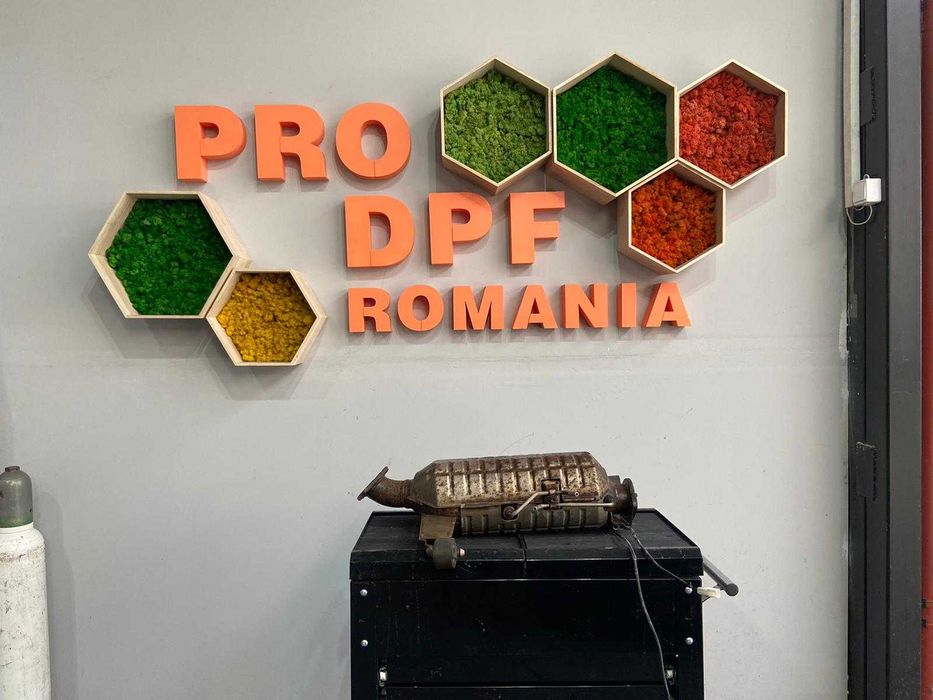 Curatare / Regenerare Filtru Particule - asiguram demontare