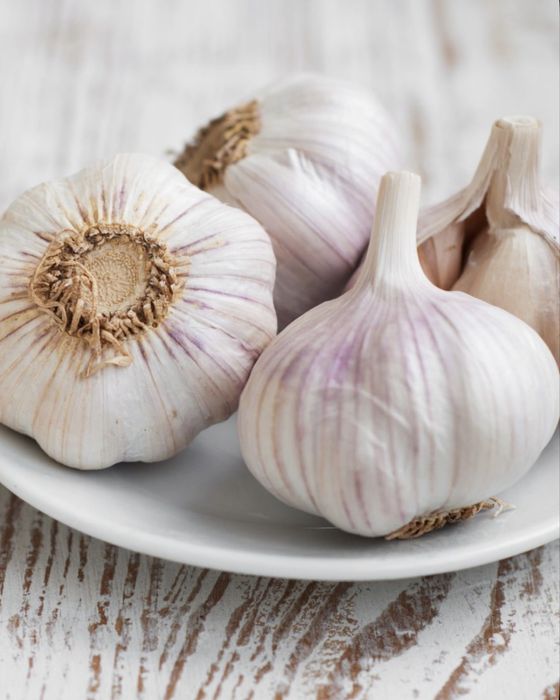 Семена чеснока сорт Любаша (элита)