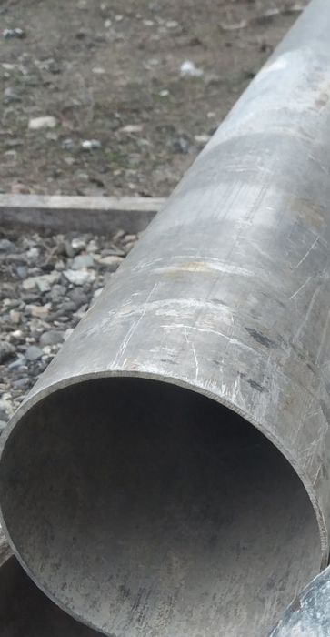 Яйца Домашних Курей Другое