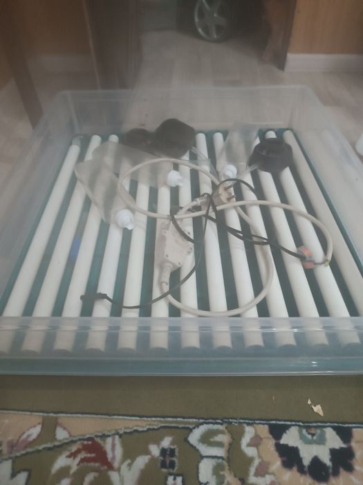 Инкубатор для яиц