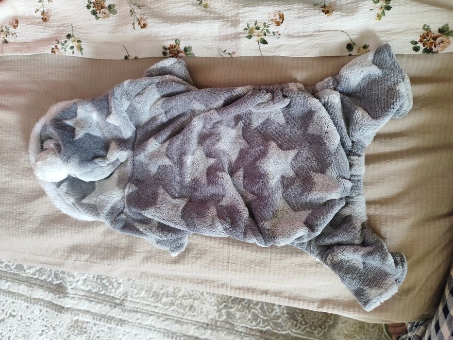 Одежда для питомцев