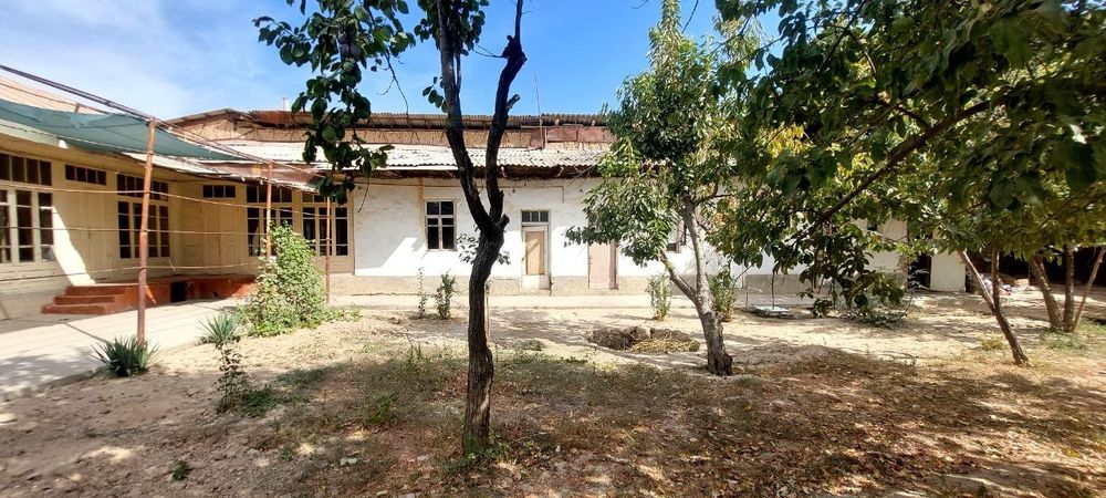 Прадайоса 12 сотик