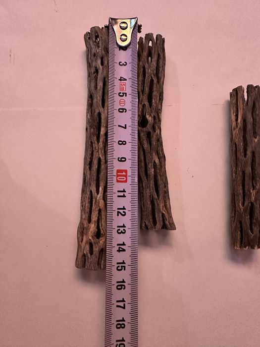 Кактус Чолла для аквариума