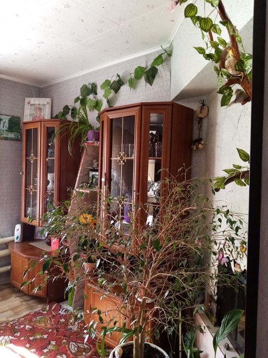 Продам дом поселок Красный кордон