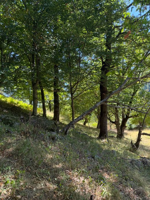 Парцел Изворна Вода  1 265 м² c Рибарица В Регулация