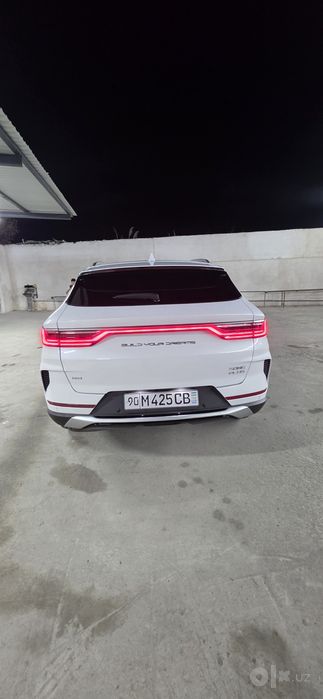 Song pilus GIBRIT BYD  2023 yil olingan 100% radnoy
