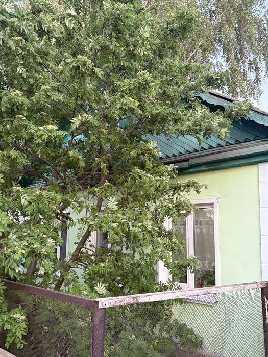Продам дом в г.Тобыл
