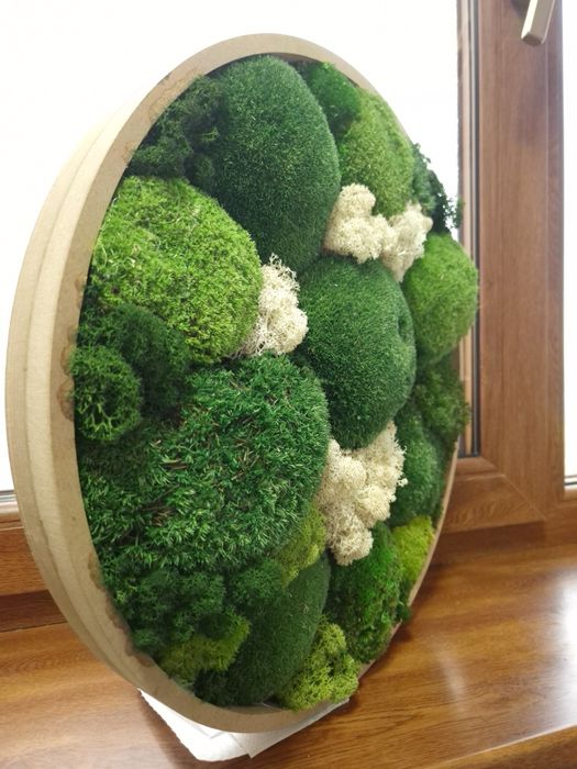 Tablou Rotund din muschi 45 cm