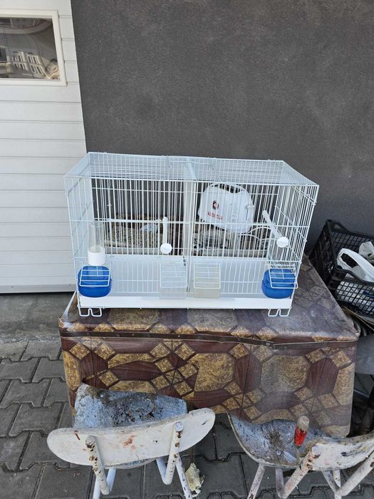 Desfiintez crescatoria de canari