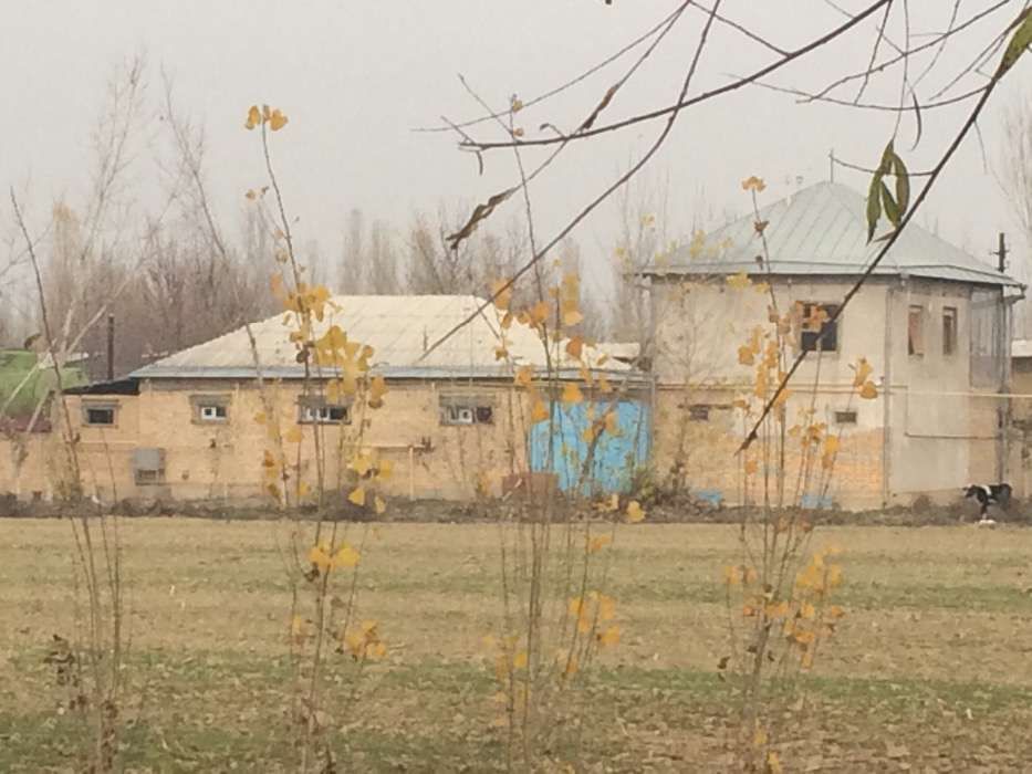 Срочно База Янгиюль, 15 соток,нежилой обьект , Молочный цех