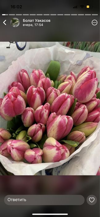 Тюльпаны оптом Астана