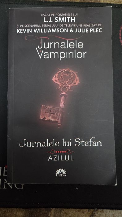 Jurnalele lui Stefan - Azilul