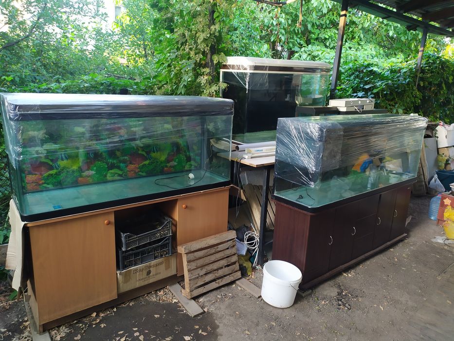 Заводской аквариум 440л .