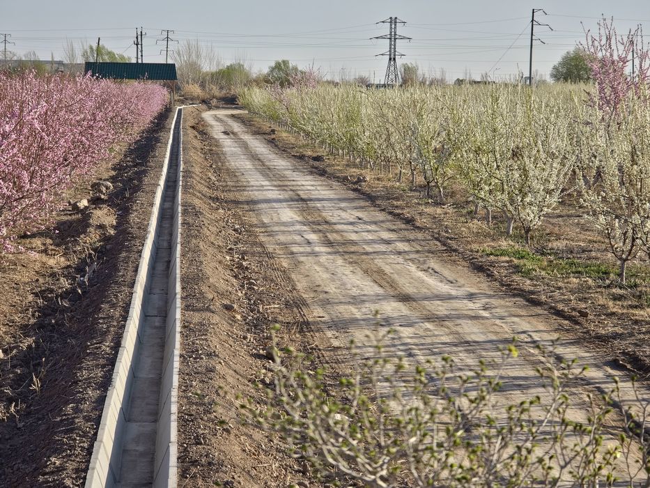 O‘riq qoqi sotiladi