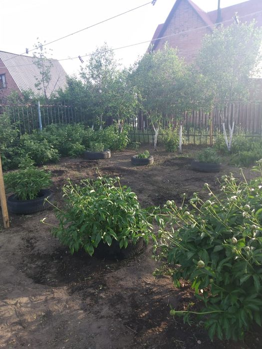 Продам дачу,с.о.Иртыш-4