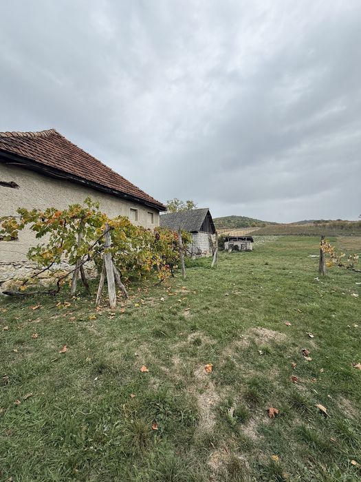 Vand casa in Pestis Judetul Bihor
