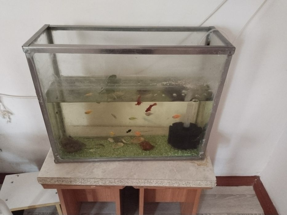 Продам аквариум дешова