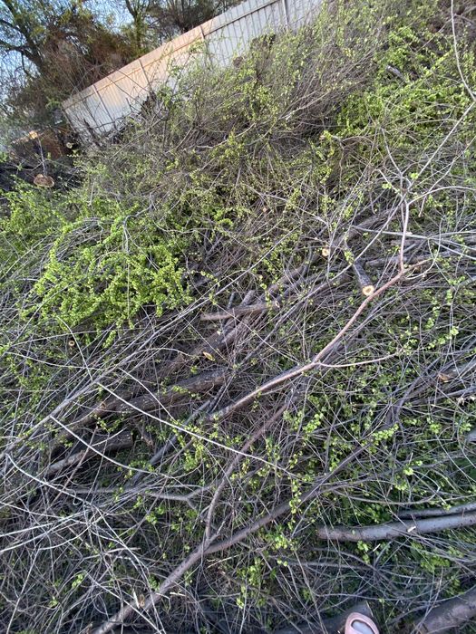 Продам дрова.