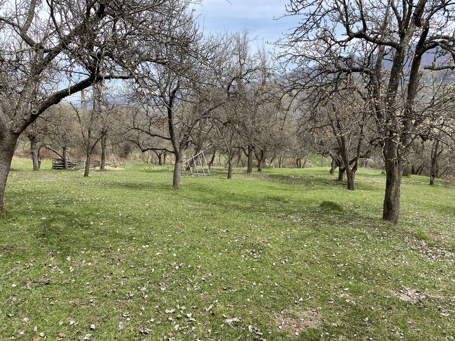 Teren intra/extravilan