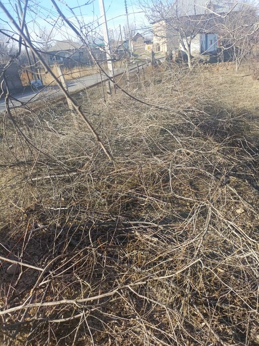 Ағаш пұтақтар тегін