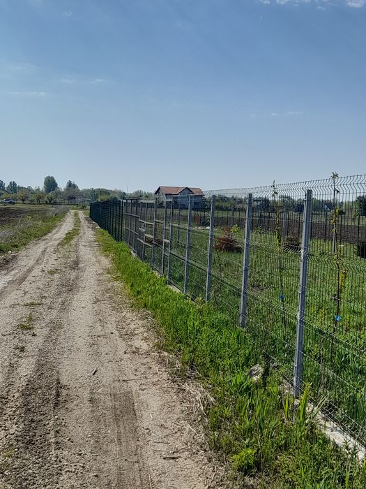 Snagov Siliștea 500mp