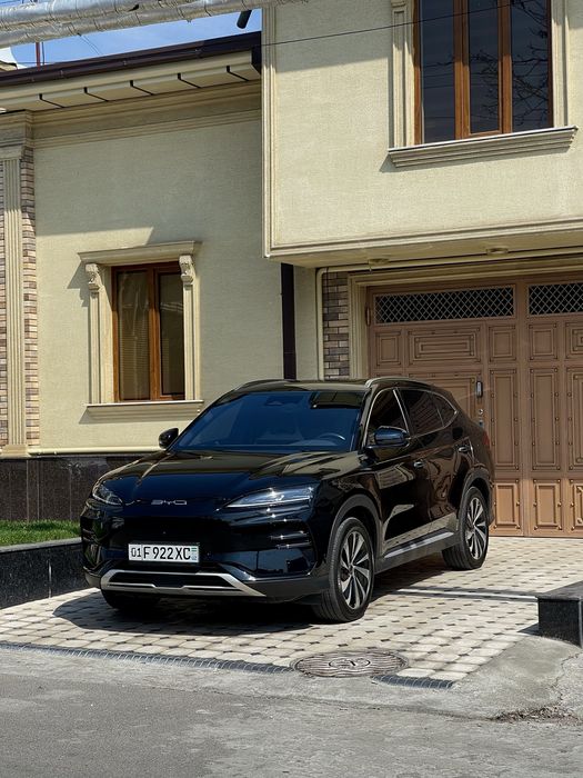 BVD chempion 605 tali toza