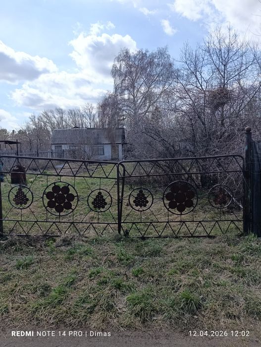 Продам дачу, садоводство яблонька