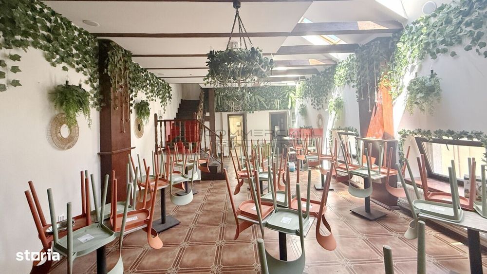 Spatiu Comercial 250 Mp | Centrul Istoric