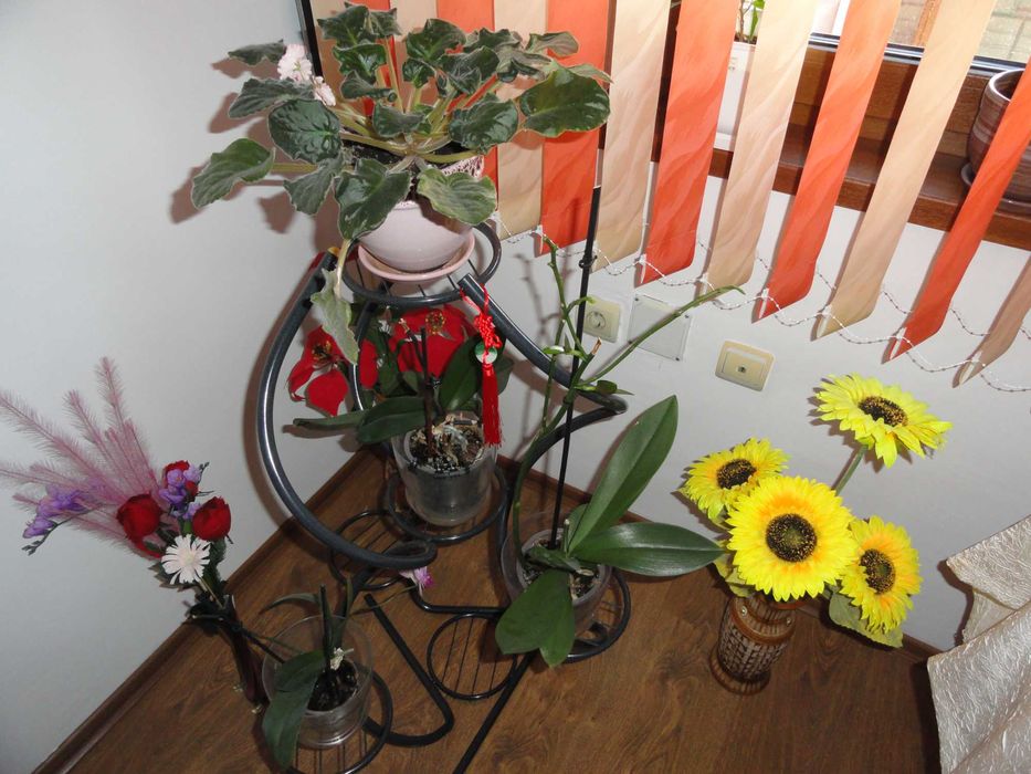 Sony Cyber-shot DSC-H55 - 14.1 MPx